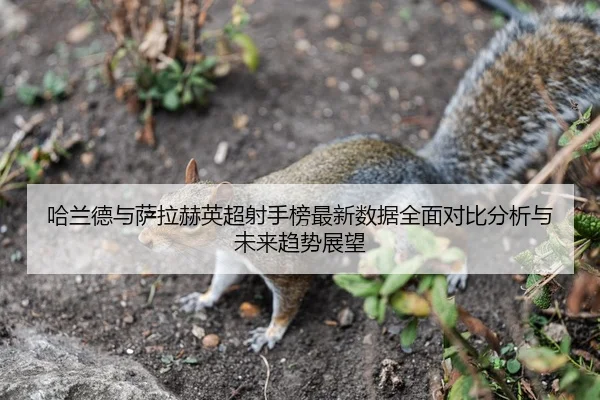 哈兰德与萨拉赫英超射手榜最新数据全面对比分析与未来趋势展望 | KAIYUN