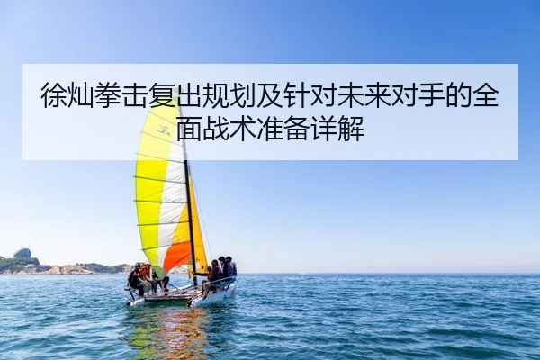 徐灿拳击复出规划及针对未来对手的全面战术准备详解
